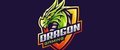 Dragon Gaming logo