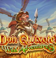 DON QUIXOTE WILD ADVENTURES