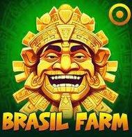 Brazil Farm