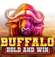 Buffalo Hold and Win