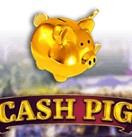 Cash Pig