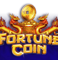 Fortune coin