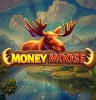 Money Moose