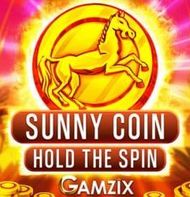 SUNNY COIN HOLD THE SPIN