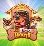 The Dog House