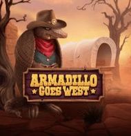 Armadillo Goes West