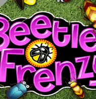 Beetle Frenzy