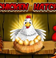 Chicken Hatch