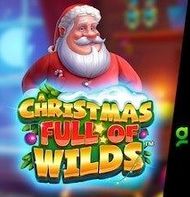 Christmas Full of Wilds