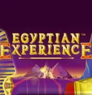 Egyptian experience