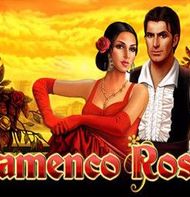 Flamenco Roses