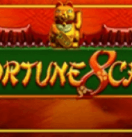 Fortune 8 Cat