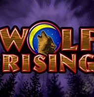 Wolf Rising