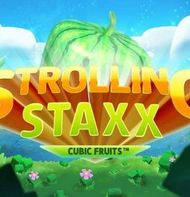 Strolling Staxx