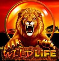 The wild life