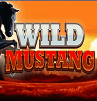 Wild Mustang