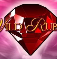 Wild Rubies