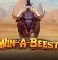 Win a Beest