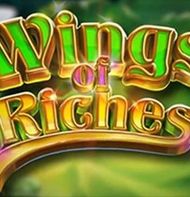 Wings Of Riches