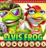 ELVIS FROG IN VEGAS