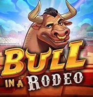 Bull in a Rodeo