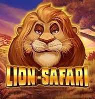 Lion Safari
