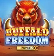 Buffalo Freedom
