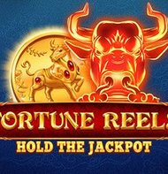Fortune Reels