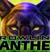 Prowling panther