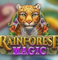 Rainforest Magic