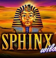 Sphinx Wild