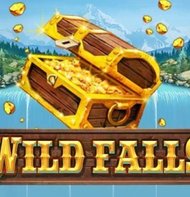 Wild Falls