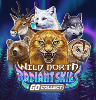 Wild North Radiant Skies Go Collect