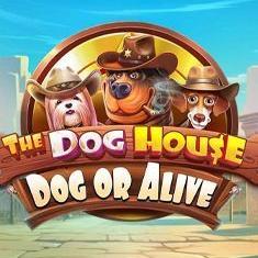 The Dog House Dog or Alive slot game