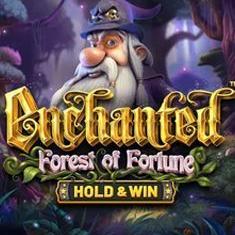 Enchanted Forest of Fortune slot game