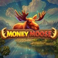 Money Moose slot game