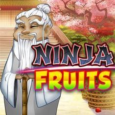 Ninja Fruits slot game