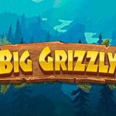 big grizzly