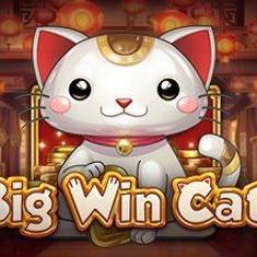 big win cat