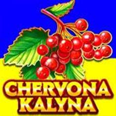 chervona kalyna