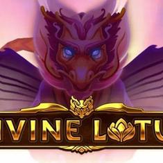 divine lotus