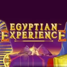 egyptian experience