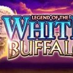 white buffalo