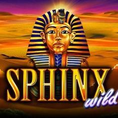 sphinx wild