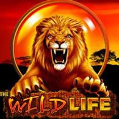 the wild life