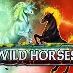 wild horses