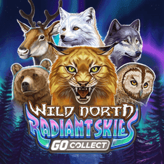 Wild North Radiant Skies Go Collect slot game