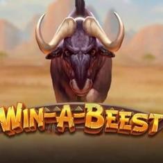 win a beest