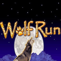 wolf run