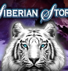 Siberian storm dual play logo